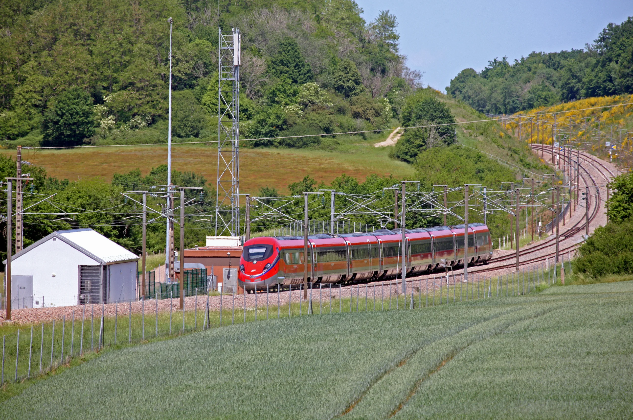 © Photographe : Jean-Jacques D'Angelo