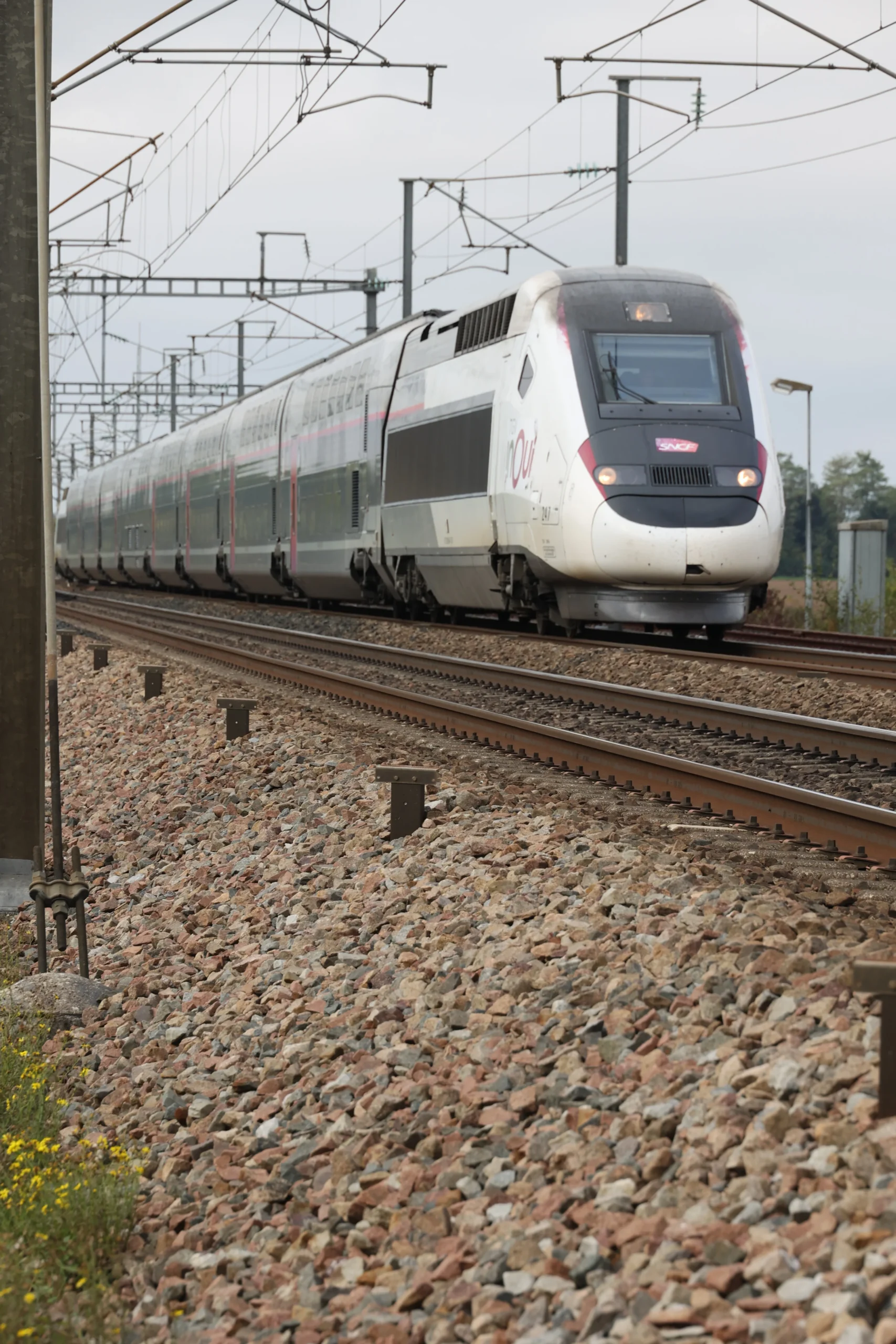 © Photographe : Jean-Jacques D'Angelo