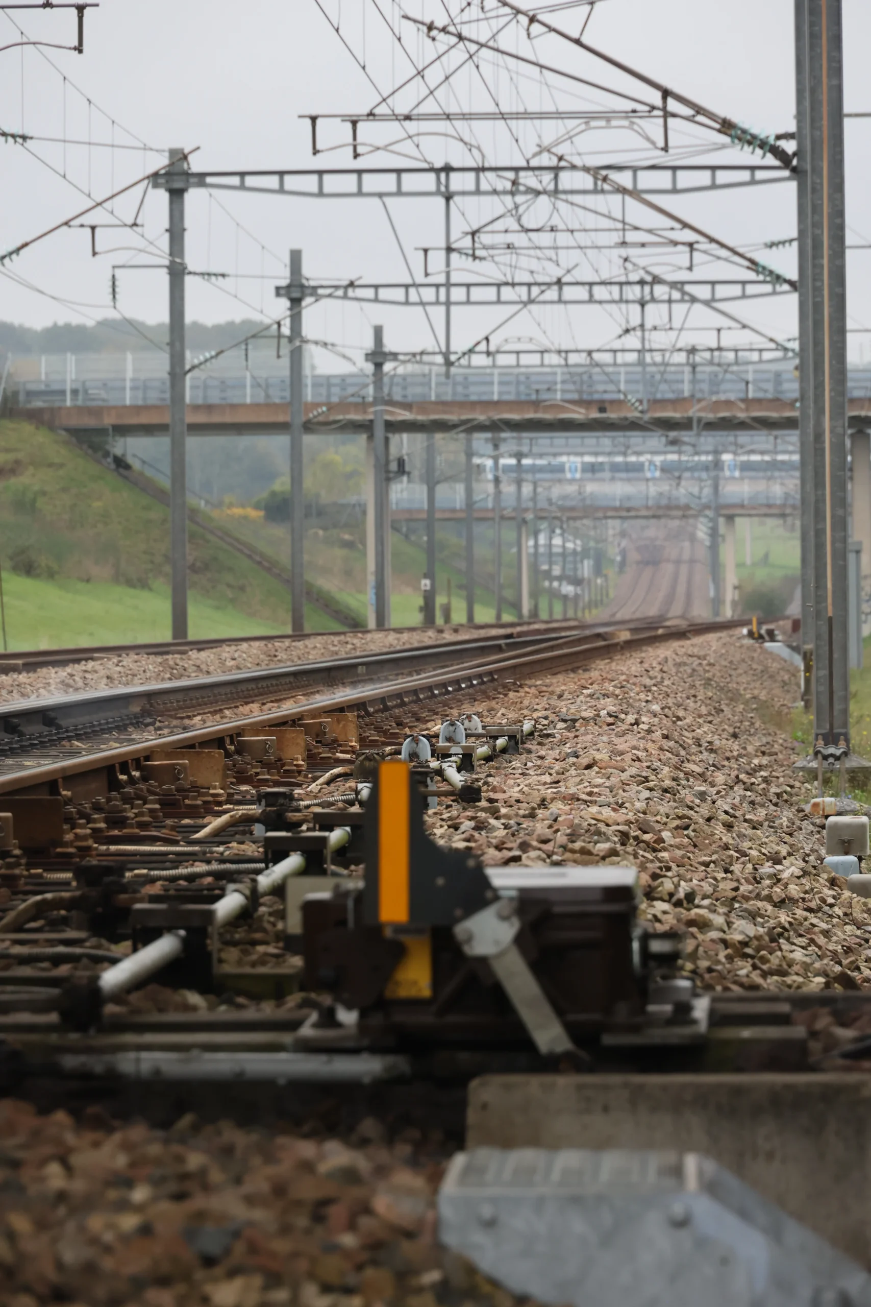 © Photographe : Jean-Jacques D'Angelo